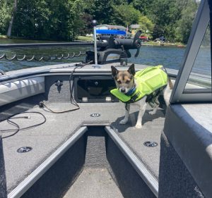 boat main